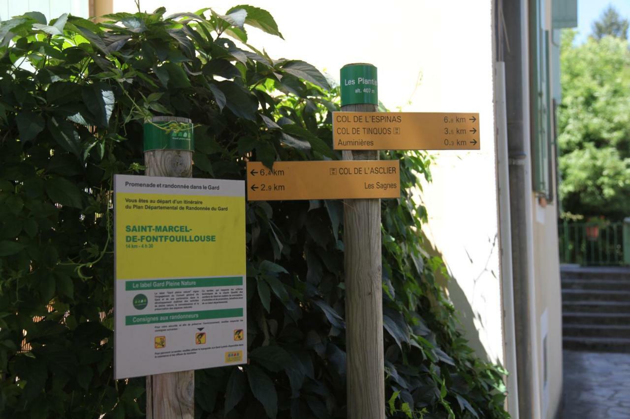 فيلا La Caladette Les Plantiers المظهر الخارجي الصورة